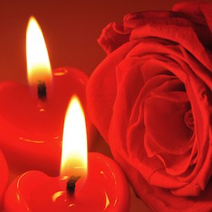 Photo de Rose LECHARPE