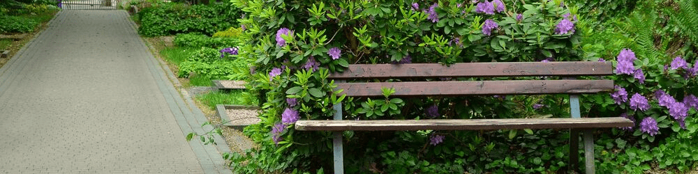 banc dans un jardin fleuri